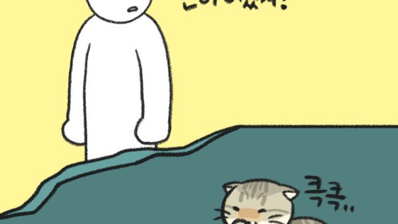 고양이 만화