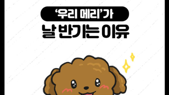 비마이펫툰