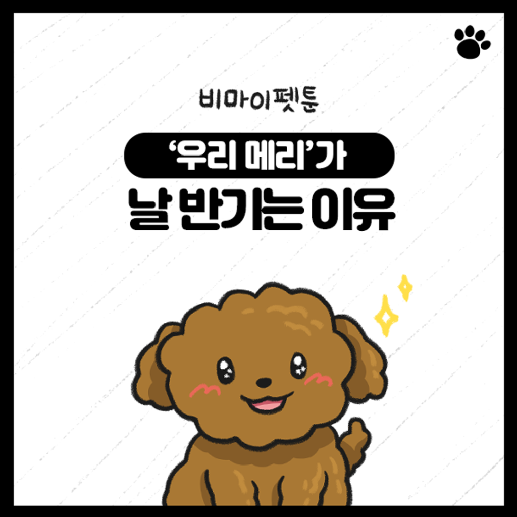 비마이펫툰