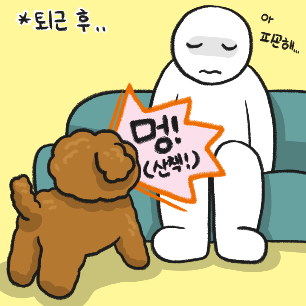 비마이펫툰