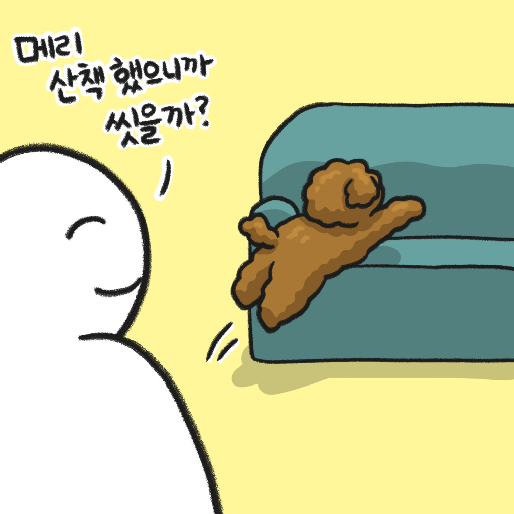 비마이펫툰