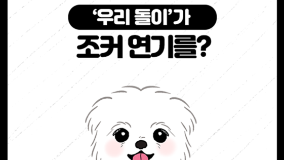 비마이펫툰