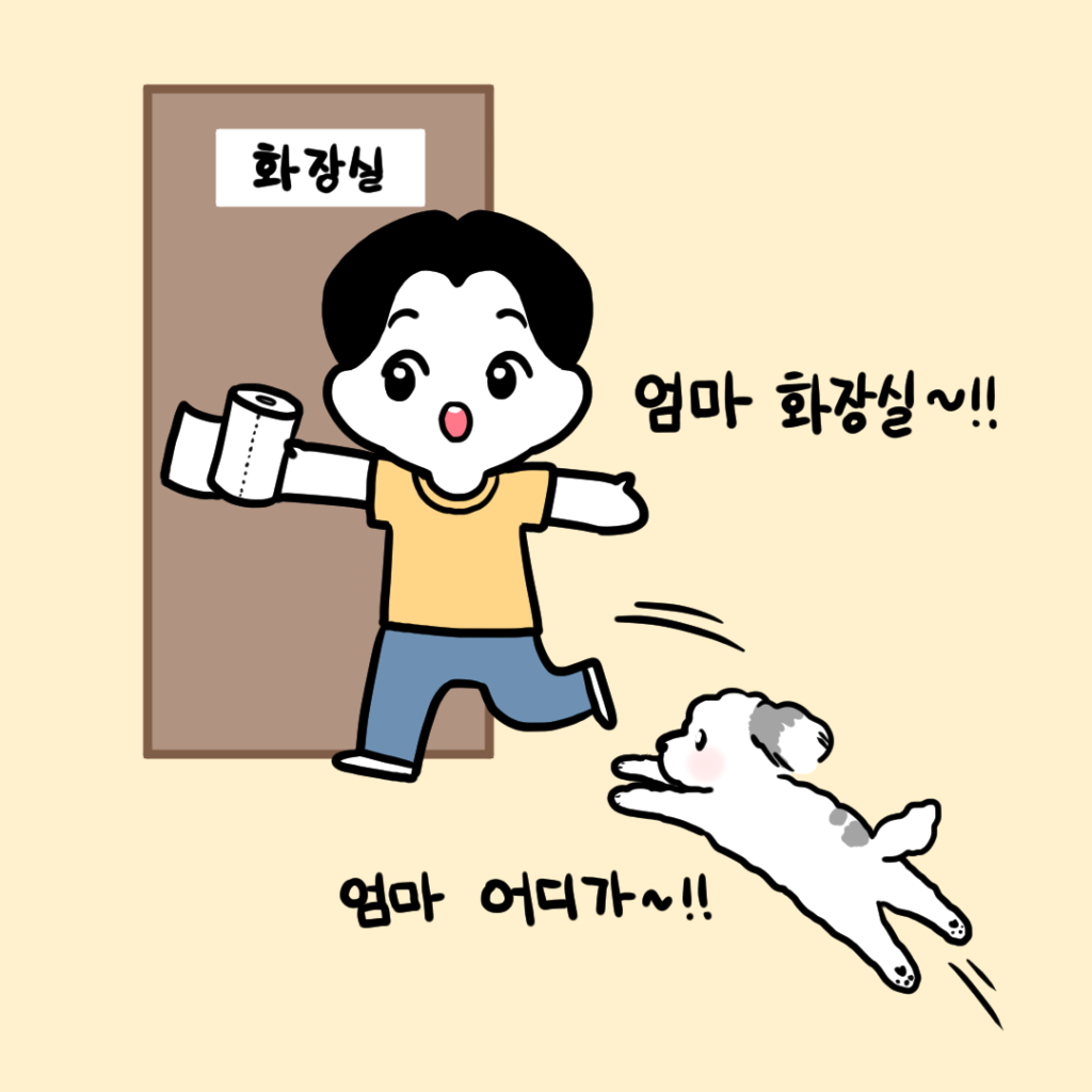 강아지 화장실