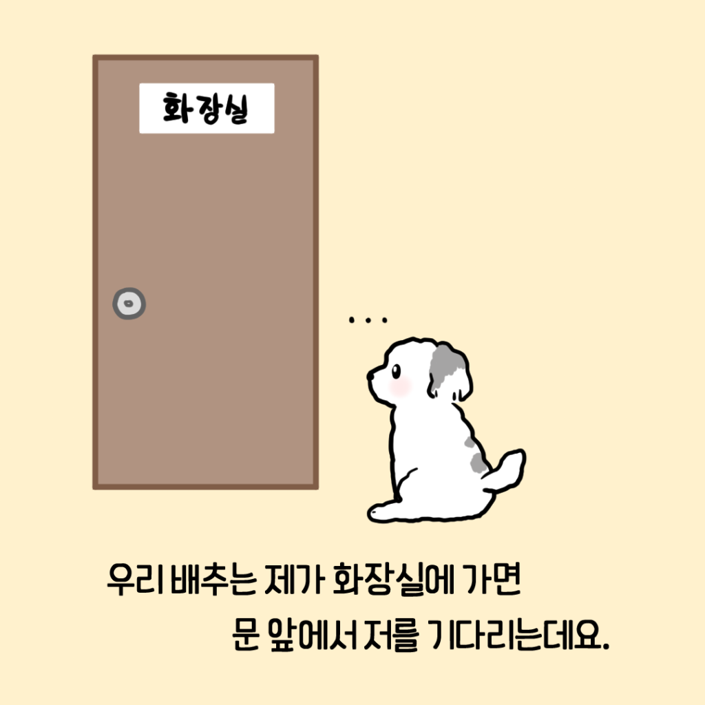 강아지 화장실