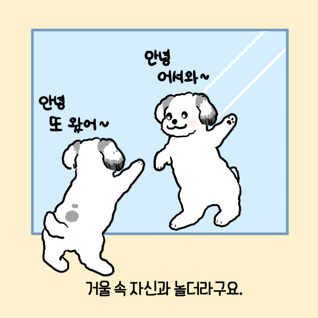 강아지 거울