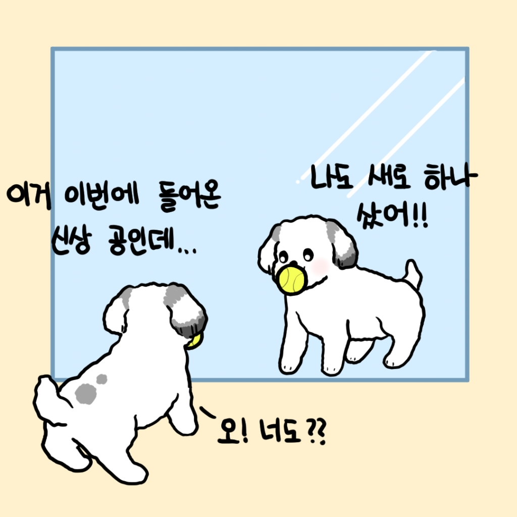 강아지 거울