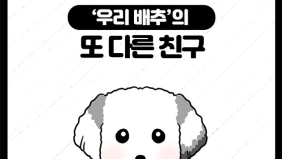 강아지 파티푸들