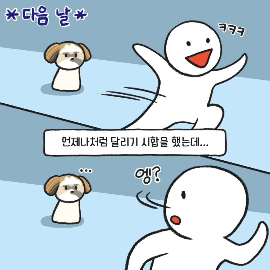 강아지 달리기