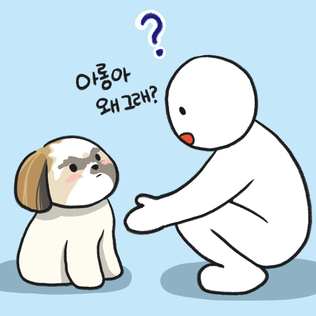 강아지 달리기