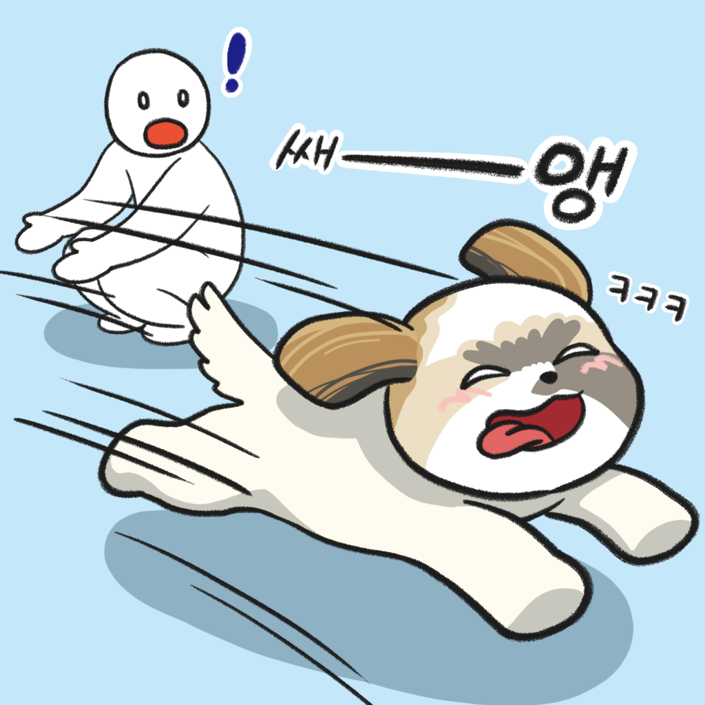 강아지 달리기