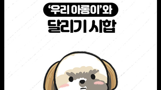 강아지 시츄