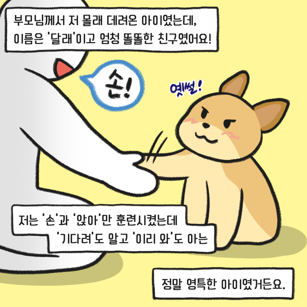 강아지 훈련