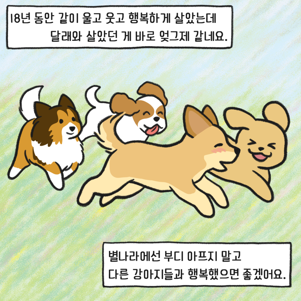 무지개다리