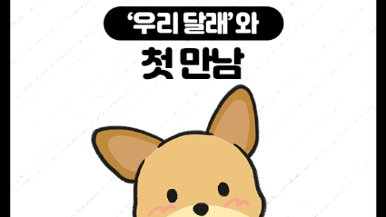 첫 만남