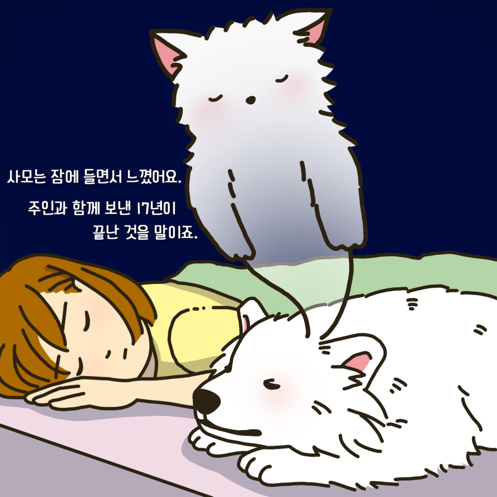 강아지 죽음