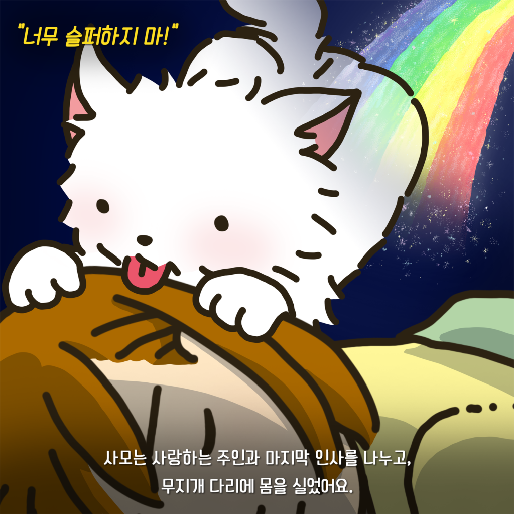 무지개 다리
