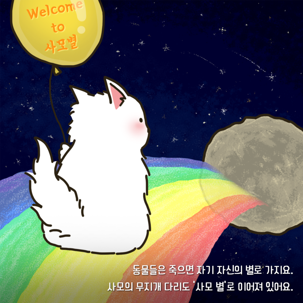 무지개 다리