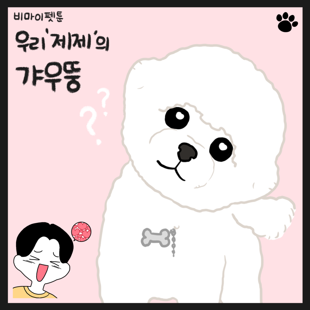 강아지 갸우뚱