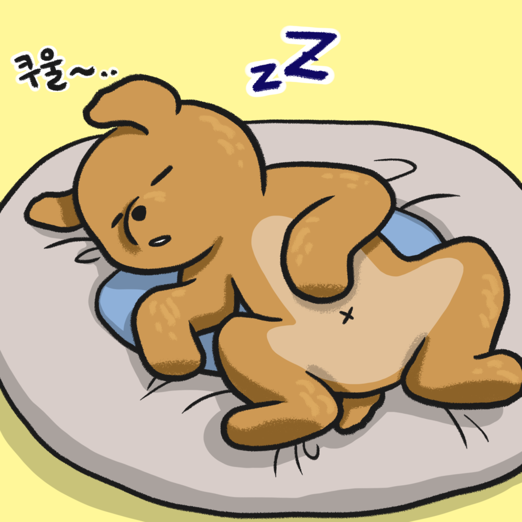 강아지 쿠션