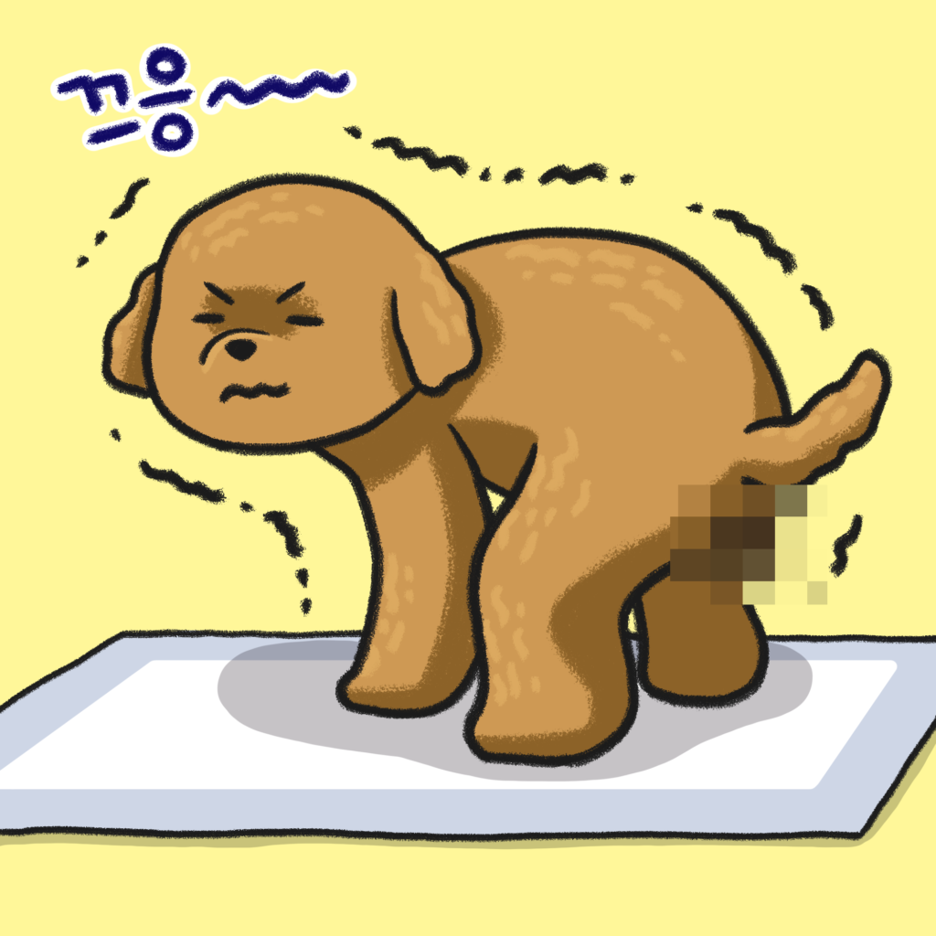 강아지 똥