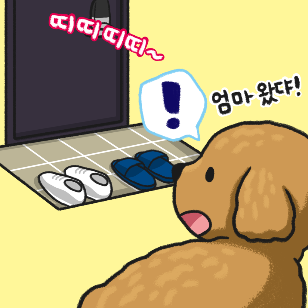 강아지 기다림