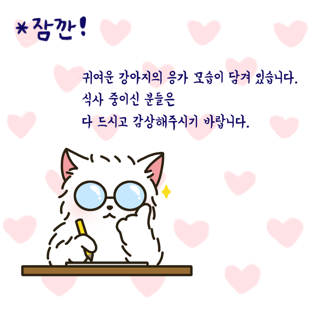 화면 조정