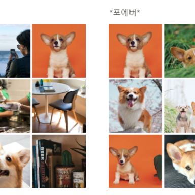 포에버