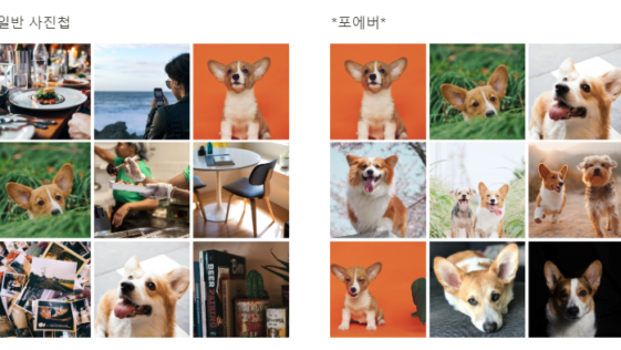 포에버