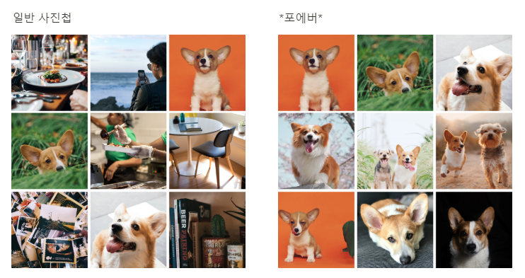 포에버