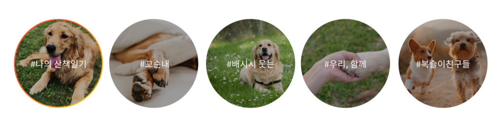 포에버