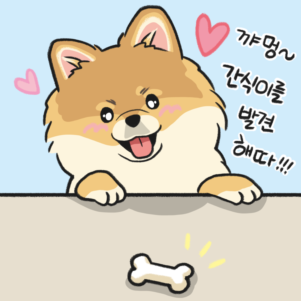 강아지 간식