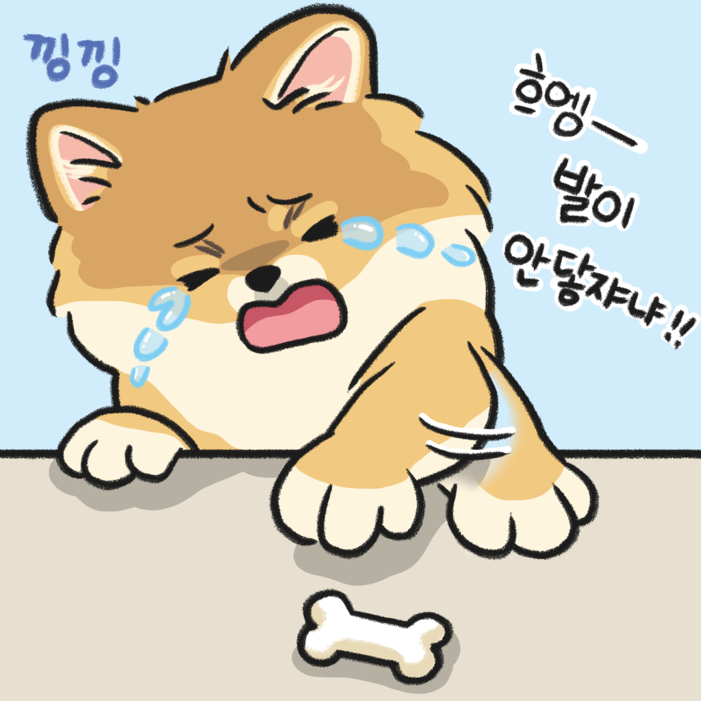 강아지 간식