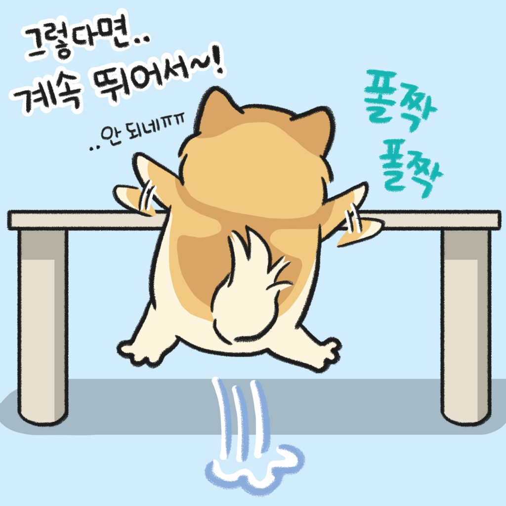 강아지 점프