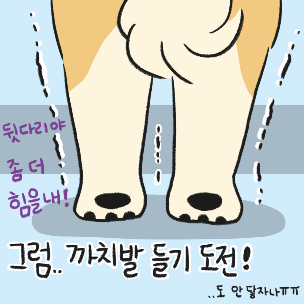 강아지 까치발