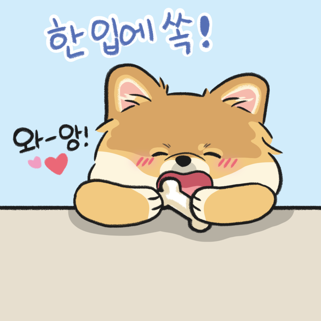 강아지 간식