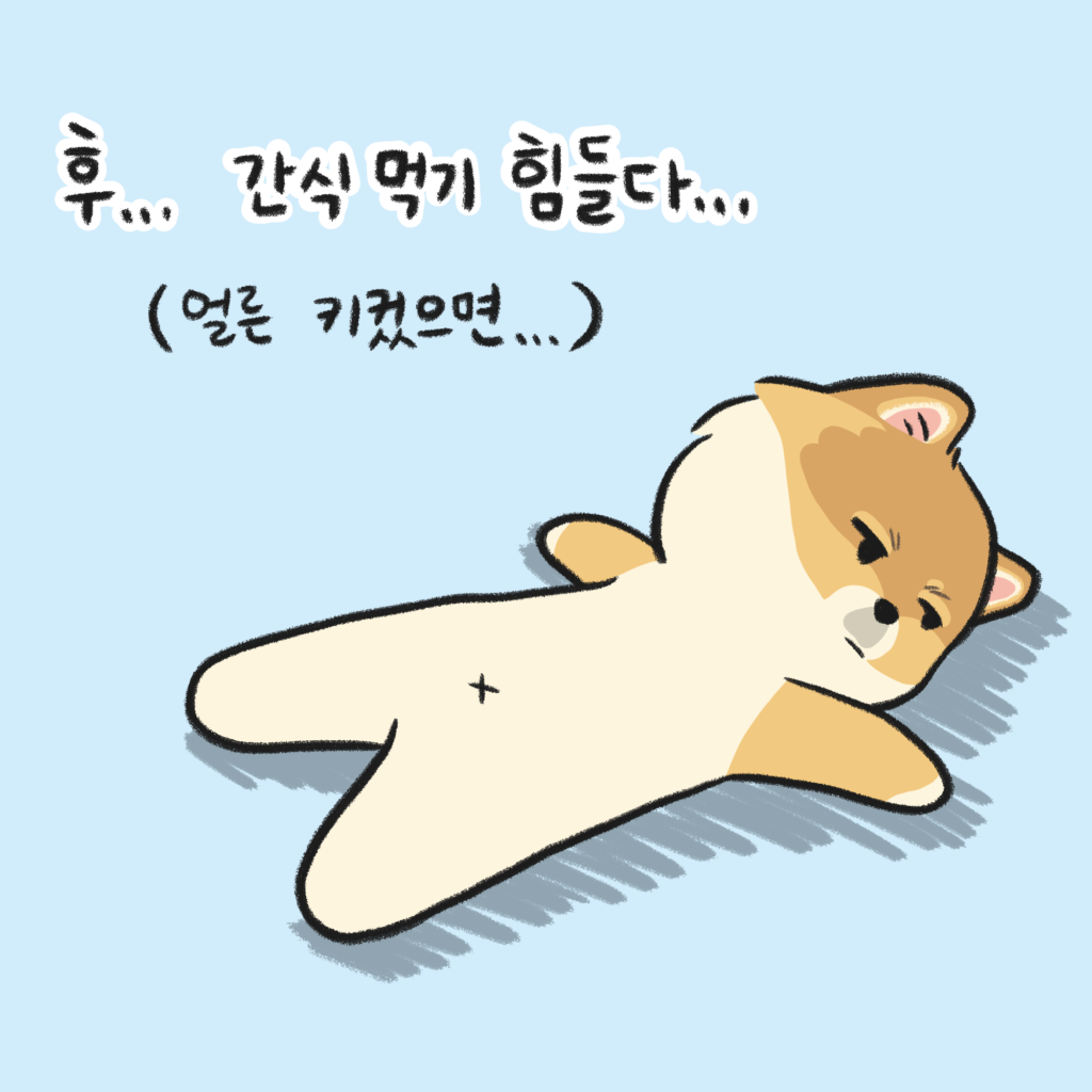 강아지 현타