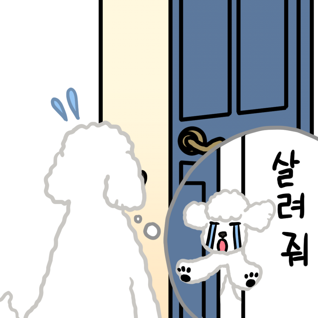 소심한 강아지