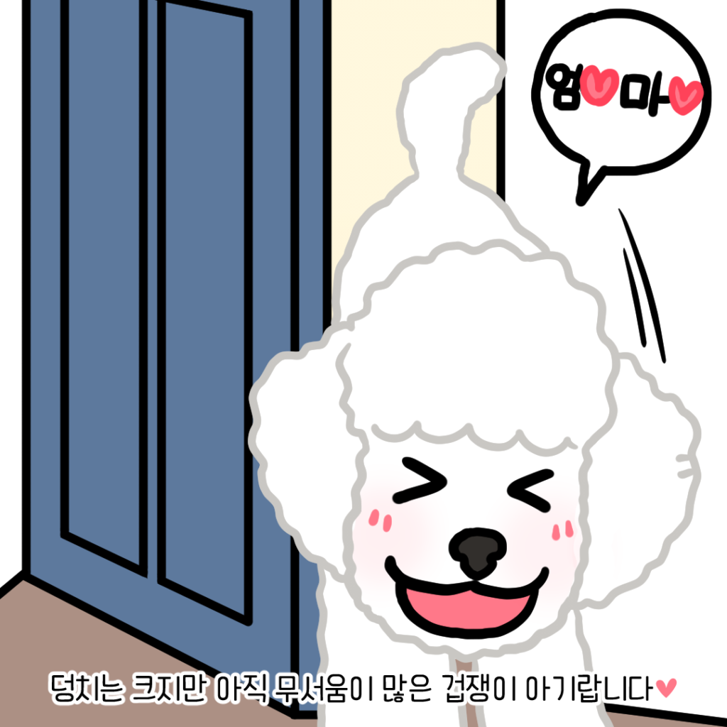 강아지 미소
