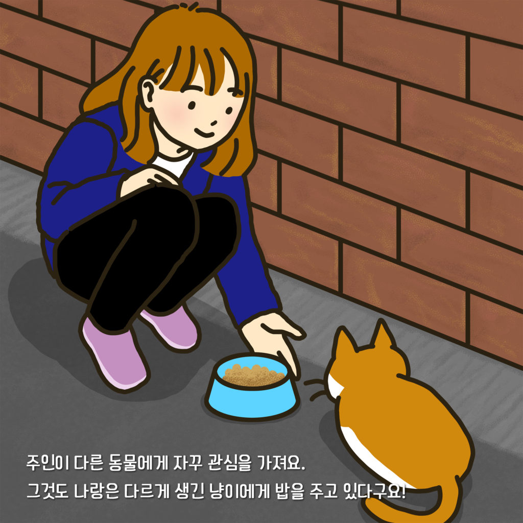 고양이 사료