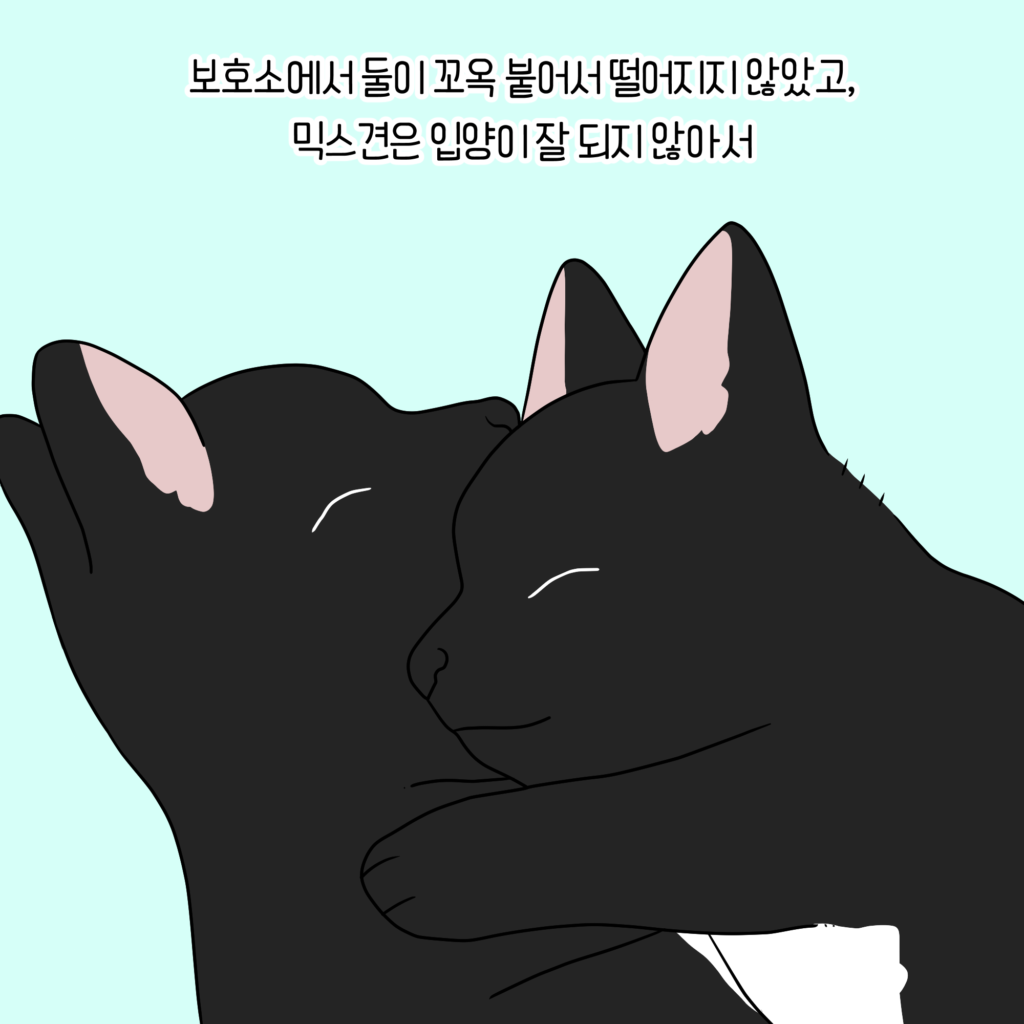 강아지 웹툰