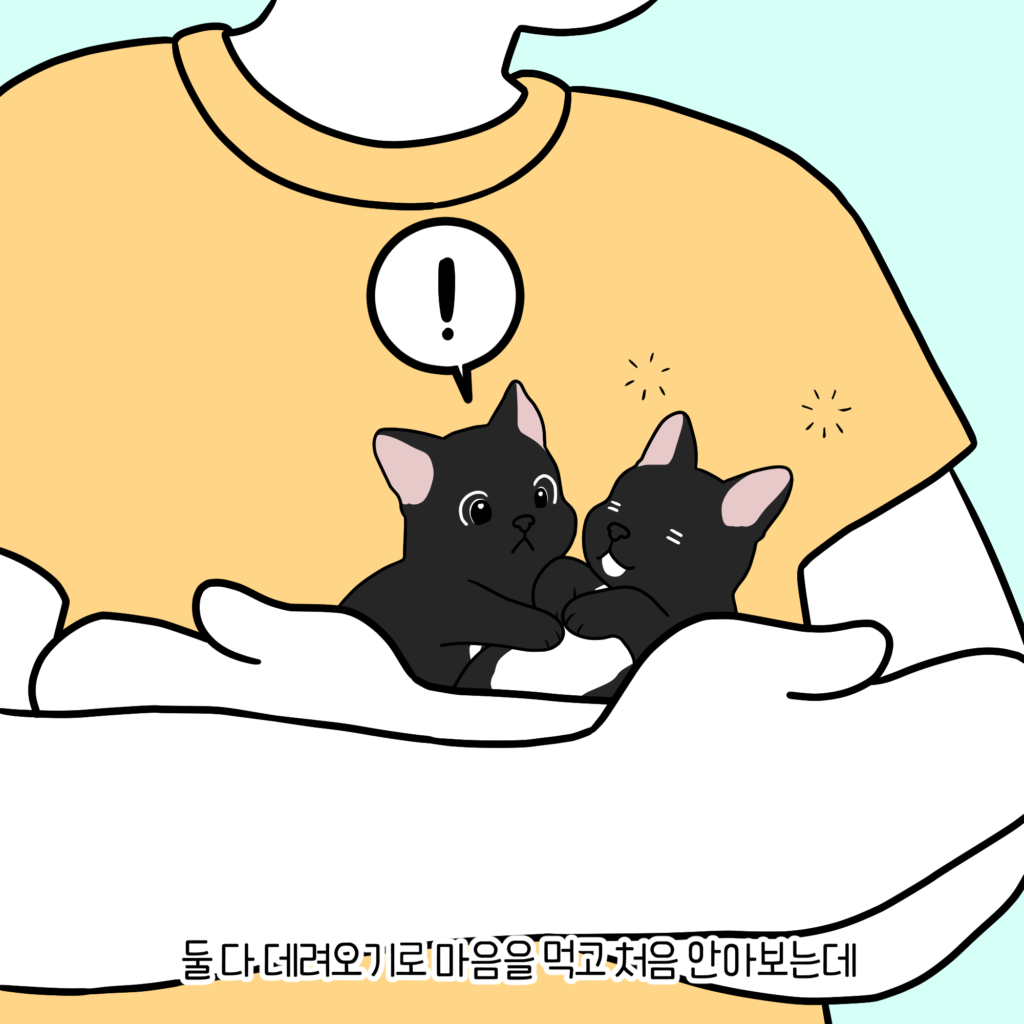강아지만화