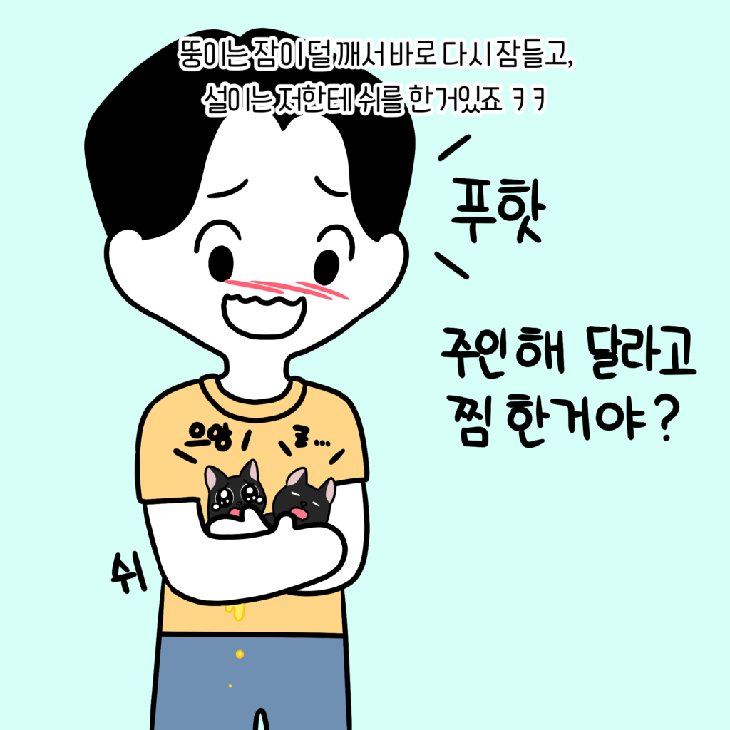 아기강아지