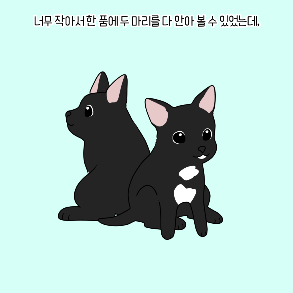 강아지 마킹