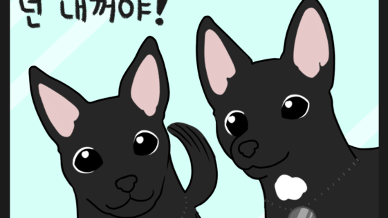 강아지 자매