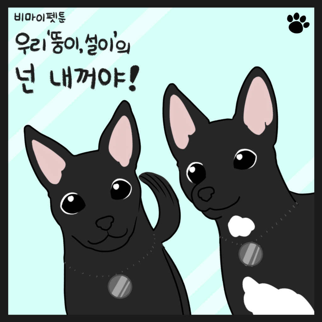 강아지 형제