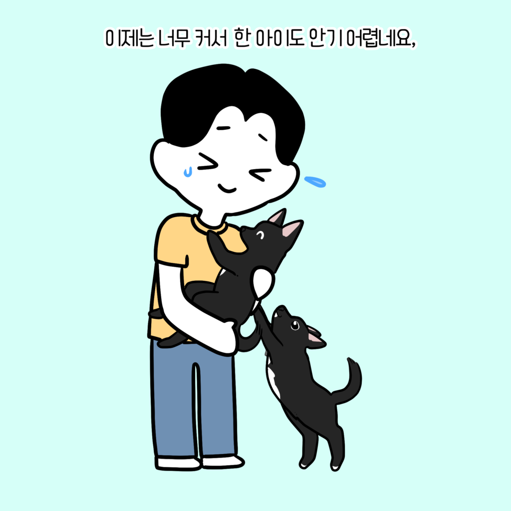 강아지 마킹