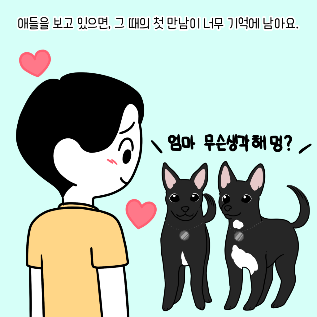 강아지 마킹 입양