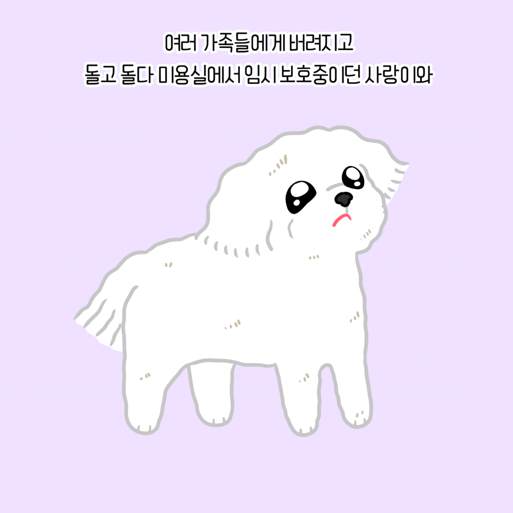강아지 슬픔