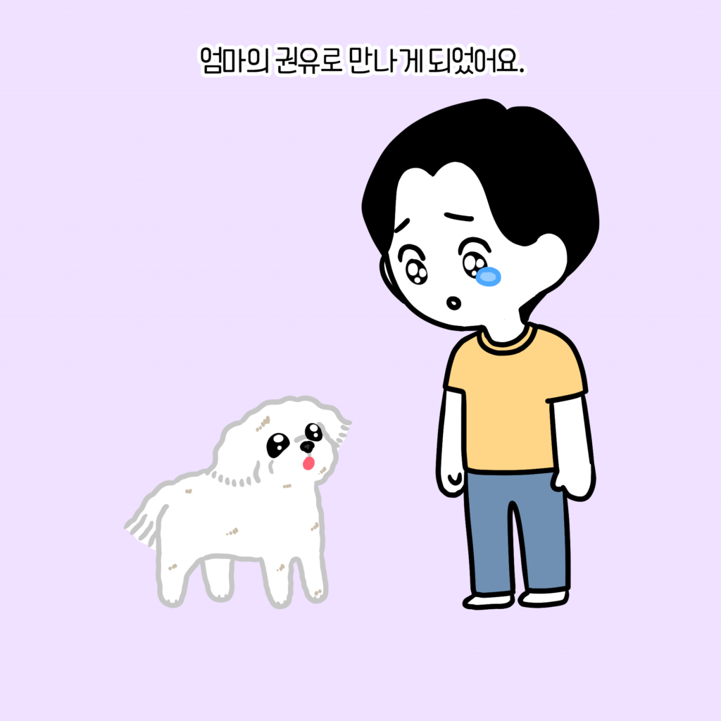강아지 첫만남