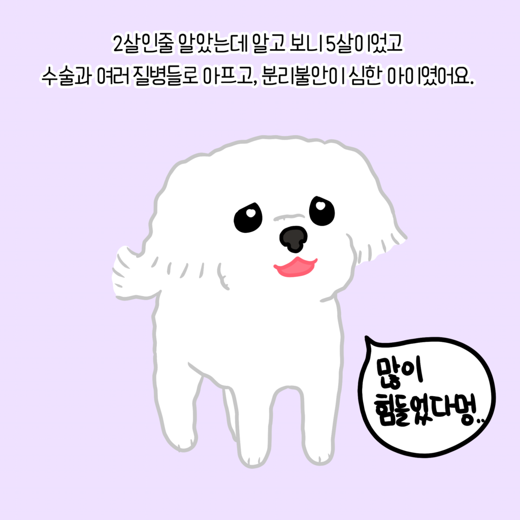 힘든 강아지